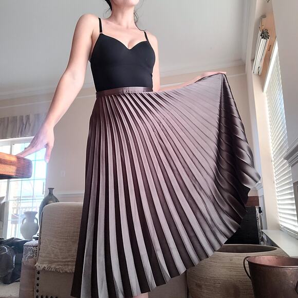 Pleated Metallic Silver Gray Skirt Sz S Pomelo - Picture 1 of 6